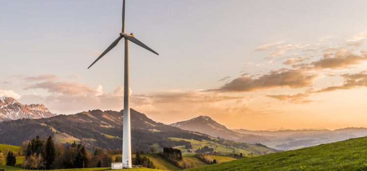 «Зеленый» курс: какое будущее ждет возобновляемые источники энергии :: РБК Тренды
