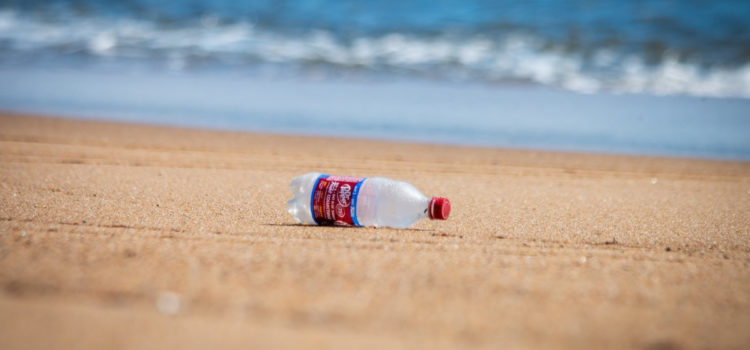 Сколько разлагается пластик и эффективна ли его переработка :: РБК Тренды