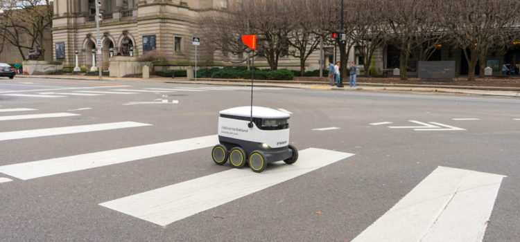 Роботы-сотрудники в отелях и парках: где тестируют автономные технологии | РБК Тренды