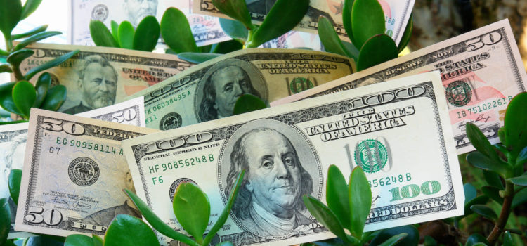 Инвестиции без вреда для природы: что такое «зеленые» облигации | РБК Тренды
